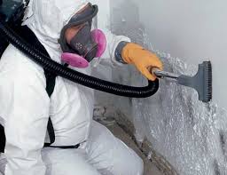 Best Asbestos and Lead Testing During Mold Inspection  in Gosport, IN